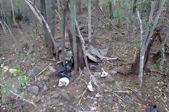 Το τέρας με το σχοινί: 