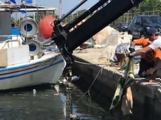 Φωτογραφία για Πλαστικά έπιπλα, περίβλημα τηλεόρασης και 500 κιλά δίχτυα έβγαλαν δύτες από τον βυθό της μαρίνας στην Καλαμαριά Θεσσαλονίκης