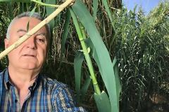 ΠΑΝΑΓΙΩΤΗΣ ΣΤΑΪΚΟΣ: 