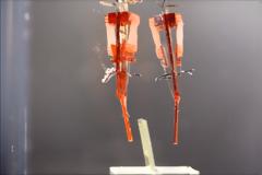 Επιστήμονες κατασκεύασαν ρομπότ με ζωντανούς μυς