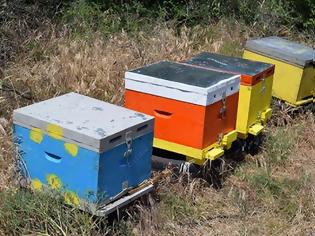 Φωτογραφία για Ταχύρρυθμο πρόγραμμα Μελισσοκομίας σε ΒΟΝΙΤΣΑ και ΑΓΡΙΝΙΟ