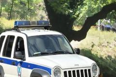 Ηράκλειο: Έκρυβαν τα όπλα στο… μαντρί