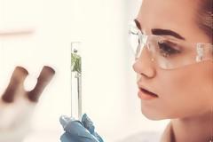 Η εξατομίκευση της περιποίησης