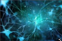 Έρευνα: Στο έντερο βρίσκεται ο δεύτερος... εγκέφαλός μας