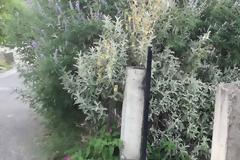 ΔΗΜΟΣ ΞΗΡΟΜΕΡΟΥ: Ανακοίνωση σχετικά με την αποψίλωση - καθαρισμό των οικοπέδων και των πρανών