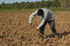 Φρίκη: Φύτευε πατάτες στον κήπο του και ανακάλυψε ότι η γυναίκα του είναι δολοφόνος - Το μακάβριο εύρημα