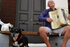 Πέθανε η θλιμμένη σκυλίτσα της Πάτρας - Λίγους μήνες μετά τον θάνατο του αφεντικού της  [photos]