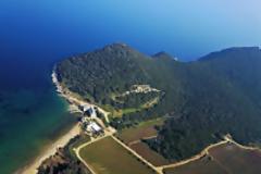 10728 - Υπό έλεγχο η φωτιά σε δασική έκταση στο Άγιο Όρος