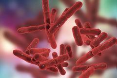 Οι επιστήμονες χαρτογράφησαν τον γενετικό κώδικα 3.000 επικίνδυνων βακτηρίων