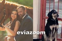 Χαλκίδα: Αυτό είναι το ζευγάρι που υιοθέτησε τον «Νυχτερίδα» (ΦΩΤΟ)