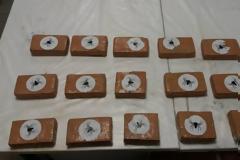 Τα συγχαρητήρια τής Ένωσης Καστοριάς για τις ναρκω-συλλήψεις