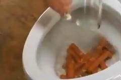 Έριξε λουκάνικα στην λεκάνη της τουαλέτας για να σας δείξει κάτι... Θεϊκό αποτέλεσμα! [video]