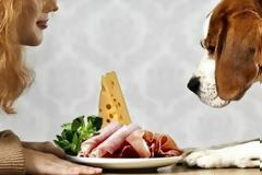 Ποιες τροφές πρέπει να αποφύγεις να δώσεις στο κατοικίδιό σου γιατί μπορούν να αποβούν ακόμη και θανατηφόρες;