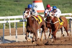 Έξι καθαρόαιμοι ίπποι «μάχονται» για έναν από τους σημαντικότερους τίτλους της χρονιάς