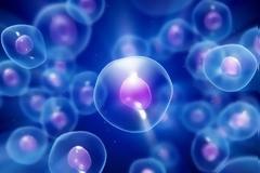 Κύτταρα του ανθρώπινου αίματος μετατράπηκαν σε λειτουργικούς νευρώνες