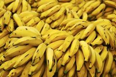 Έκρυβαν κοκαΐνη μέσα σε κοντέινερ με μπανάνες στη Λαχαναγορά (ΦΩΤΟ)