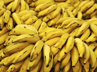 Φωτογραφία για Έκρυβαν κοκαΐνη μέσα σε κοντέινερ με μπανάνες στη Λαχαναγορά (ΦΩΤΟ)