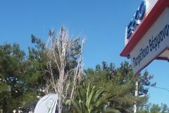 Ανακύκλωση χρησιμοποιημένων μπαταριών οχημάτων