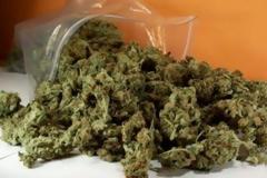 Πρώτη στις προτιμήσεις των Κυπρίων η κάνναβη