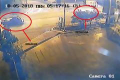 Η δικογραφία για τους «κλέφτες του αλυσοπρίονου»