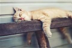 Το μυαλό χρειάζεται και αυτό ξεκούραση