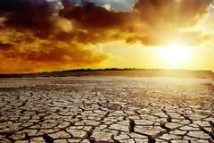 Όταν η Γη έγινε... φούρνος και εξόντωσε τα πτηνά