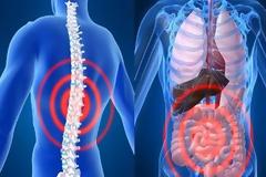 Ο βιοσυντονισμός