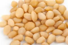 Κουκουναρόσπορος, άλλη μια υπερτροφή