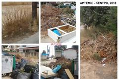 ΑΡΤΕΜΙΔΑ: ΚΑΤΟΙΚΟΣ ΚΑΤΑΓΓΕΛΕΙ ΚΑΤΑΣΤΡΟΦΙΚΗ ΑΔΙΑΦΟΡΙΑ (Video)