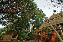 Ένας άντρας έχτιζε επί 4 δεκαετίες αυτό - Το τι συνέβη την τελευταία μέρα της ζωής του σε κάνει να ανατριχιάζεις