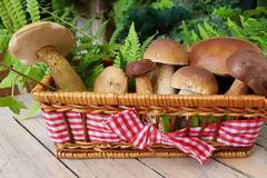 M-Plan diet: Η δίαιτα που υπόσχεται απώλεια λίπους σε 14 μέρες τρώγοντας… μανιτάρια