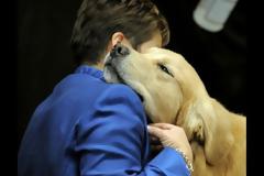 Δείτε τους 25 τρόπους που ο σκύλος σας... σου λέει σ'αγαπώ!