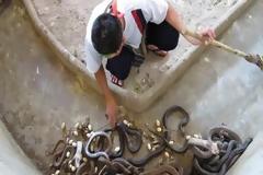 Εσύ θα έκανες αυτό το επάγγελμα;