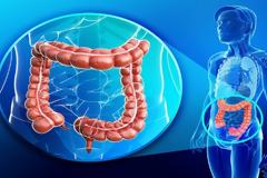 «Ο θάνατος του ανθρώπου αρχίζει από το στομάχι – Πώς θα καταλάβετε ότι κάτι δεν πάει καλά» Ρώσος βιολόγος κρούει τον κώδωνα!