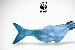 Η Μεσόγειος κινδυνεύει να μετατραπεί σε μια «πλαστική θάλασσα»