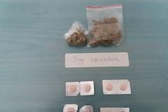 Τέσσερις συλλήψεις για ναρκωτικά στην Κοζάνη