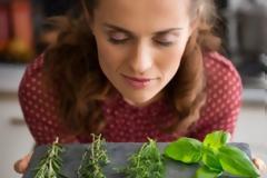 Κουνούπια: Κρατήστε τα έξω από το σπίτι με τη βοήθεια της φύσης!