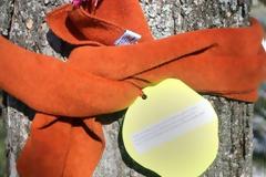 Αν δεις ένα κασκόλ κρεμασμένο σε δέντρο μην το αγγίξεις. Υπάρχει λόγος σοβαρός