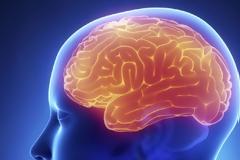 «Πέφτει» το IQ όσων γεννιούνται μετά το 1975, λένε οι Νορβηγοί