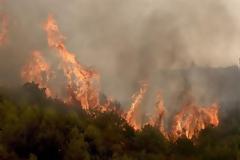 Πυρκαγιά στην Αλόννησο - Εκκενώθηκε ξενοδοχείο