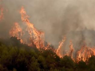 Φωτογραφία για Πυρκαγιά στην Αλόννησο - Εκκενώθηκε ξενοδοχείο
