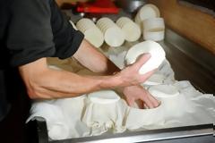 Τυρί από γάλα γαϊδούρας αξίας 1000€/κιλό!