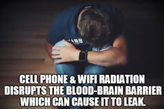 Depression - Could Cell Phone and WiFi Radiation Disrupting the Blood-Brain Barrier Be Playing a Role?