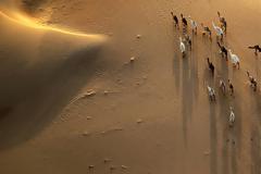 Ρύζι στη μέση της ερήμου και με θαλασσινό νερό ετοιμάζονται να καλλιεργήσουν οι επιστήμονες!