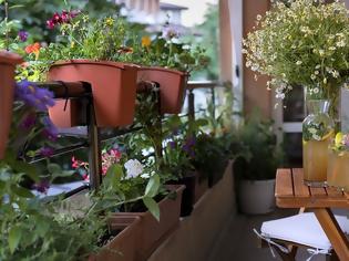 Φωτογραφία για Τα καλύτερα μυρωδικά φυτά για το μπαλκόνι και την κουζίνα σου!