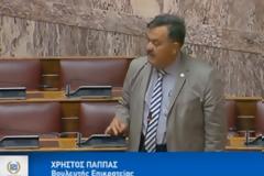 Χ. Παππάς για Μπαρμπαρούση: «Ο βουλευτής είναι υπεύθυνος των λόγων του και δεν νοείται η εφαρμογή της σταλινικής αρχής της συλλογικής ευθύνης» [Βίντεο]