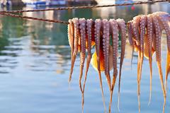 Πόσες θερμίδες έχουν οι καλοκαιρινοί μεζέδες που έχουν την τιμητική τους το καλοκαίρι σε κάθε ταβερνάκι;