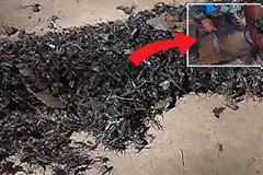 Το φοβερό κόλπο με τον ανεμιστήρα για να εξοντώσετε εκατοντάδες κουνούπια σε μια νύχτα [video]