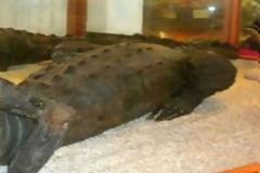 Μουσείο των ΗΠΑ φιλοξενεί το πιο μυστηριώδες εύρημα που έχετε δει ποτέ [photo]