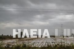 Ηλεία: Βούλιαξε ο κάμπος από την κακοκαιρία